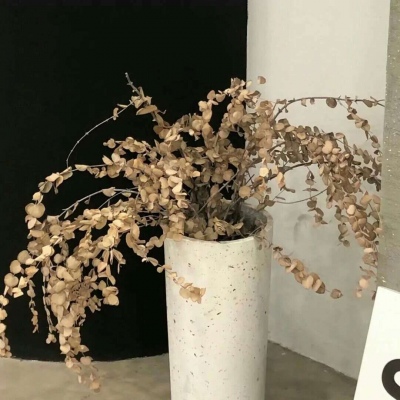 Furry绘画避坑指南兽圈群